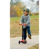 MAXI MICRO ROLLER, PIROS