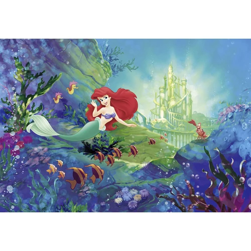 Ariel kastélya fotó tapéta 368 X 254 cm (8-4021)